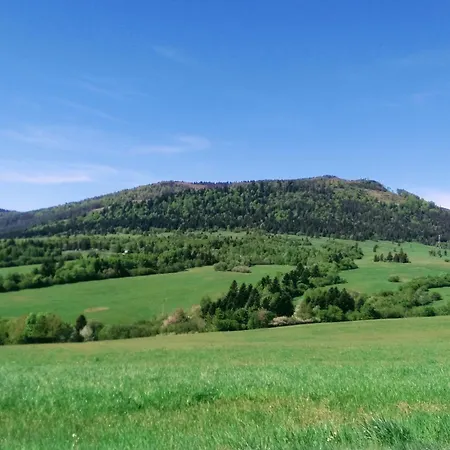 Апартаменты 61